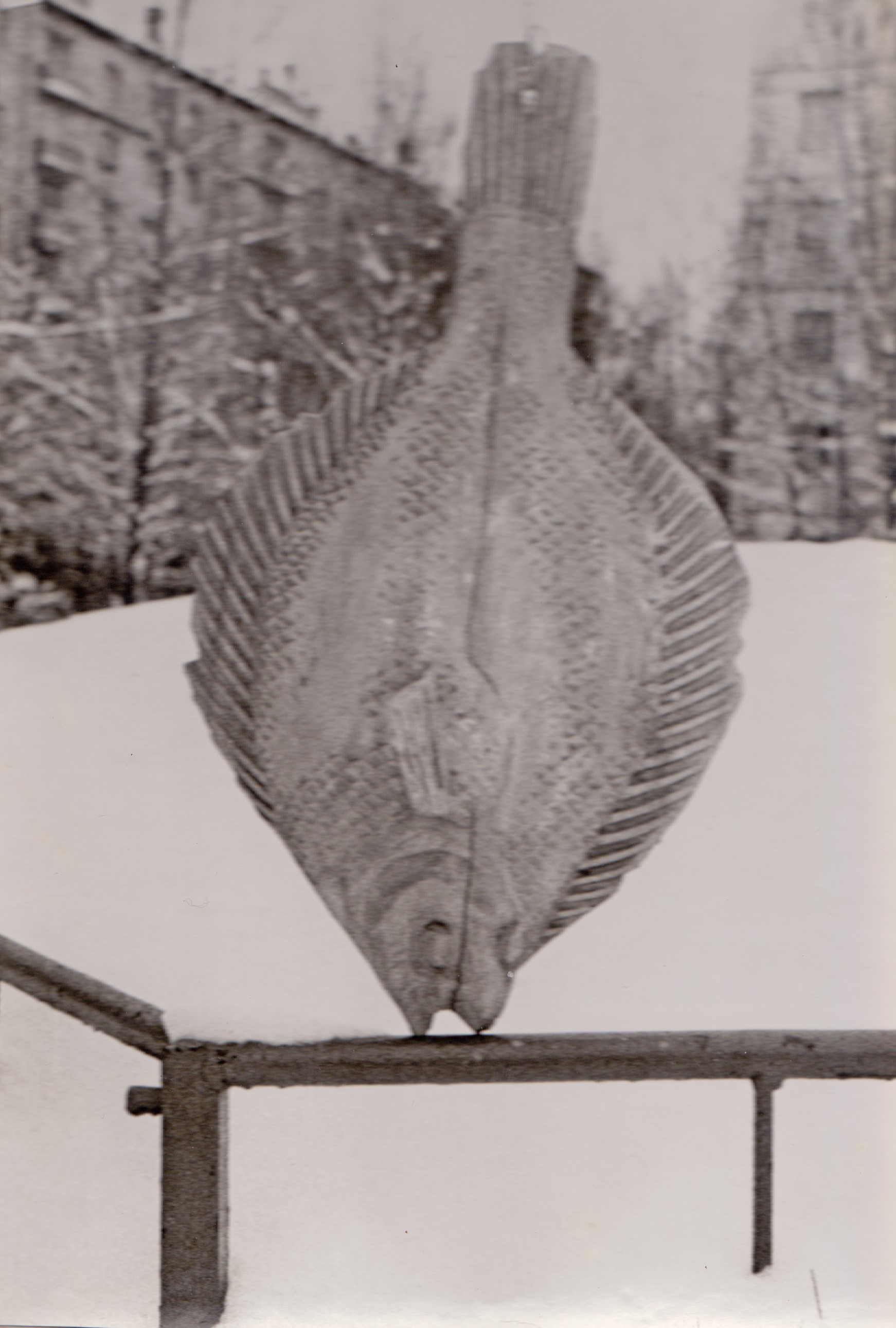 Владимир Соколов. "Камбала", 1977. Дерево. Союз художников России, Москва. Фото из архива Владимира Соколова