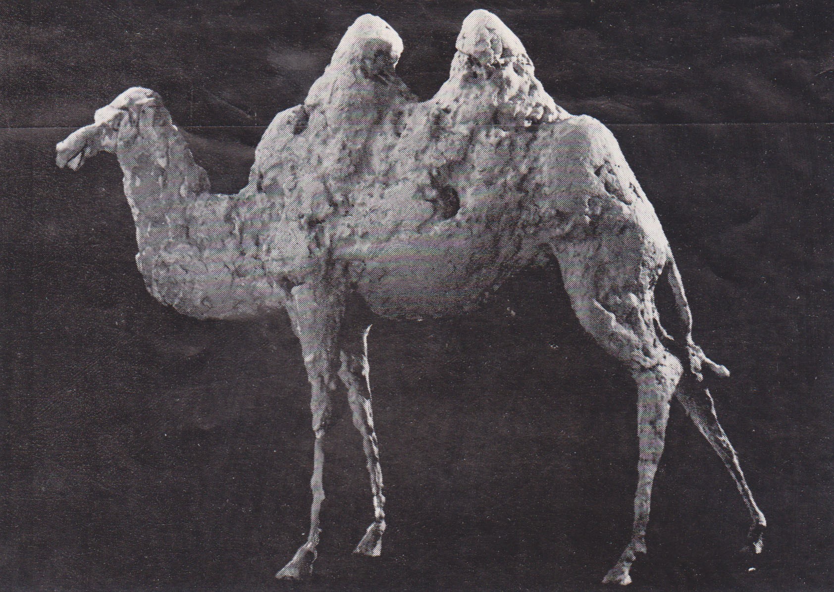 Владимир Соколов. "Верблюд", 1980. Гипс. Фото из архива Владимира Соколова