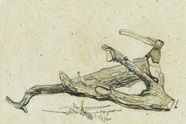 Олег Яновский. Остановка в пути, 1973. Камчатка. Бумага, карандаш. Фото из архива О. Яновского