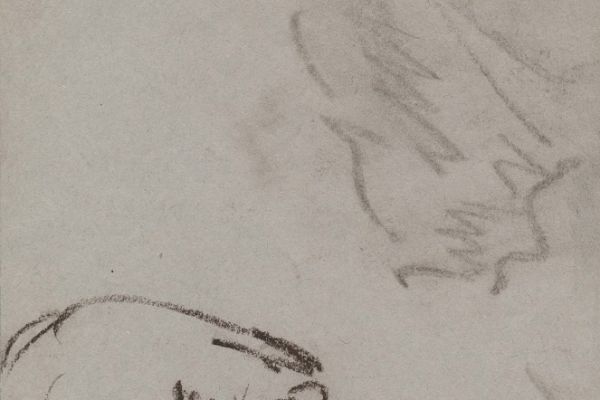 Олег Яновский. Московский зоопарк, 2001-2004. Бумага, карандаш. Фото из архива О. Яновского