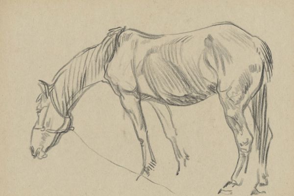 Олег Яновский. Полевые наброски, 1983. Бумага, карандаш. Фото из архива О. Яновского