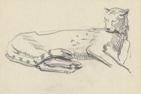 Олег Яновский. Московский зоопарк, 2001-2004. Бумага, карандаш. Фото из архива О. Яновского