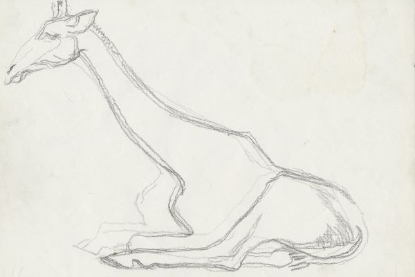 Олег Яновский. Московский зоопарк, 2001-2004. Бумага, карандаш. Фото из архива О. Яновского