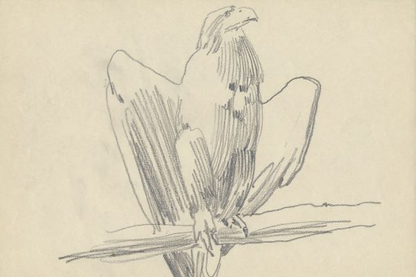 Олег Яновский. Московский зоопарк, 2001-2004. Бумага, карандаш. Фото из архива О. Яновского