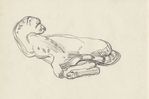 Олег Яновский. Московский зоопарк, 2001-2004. Бумага, карандаш. Фото из архива О. Яновского