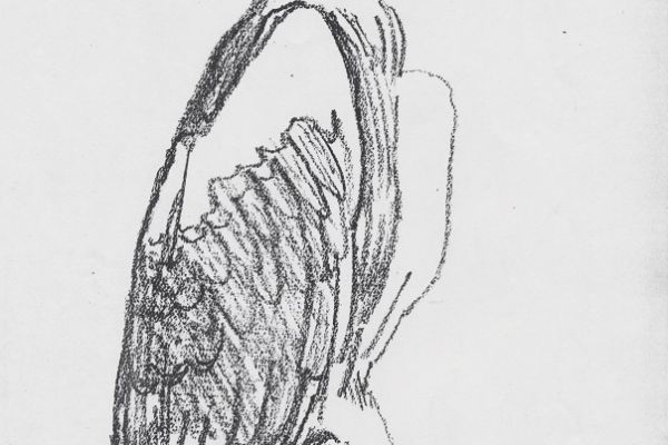 Олег Яновский. Московский зоопарк, 2001-2004. Бумага, карандаш. Фото из архива О. Яновского