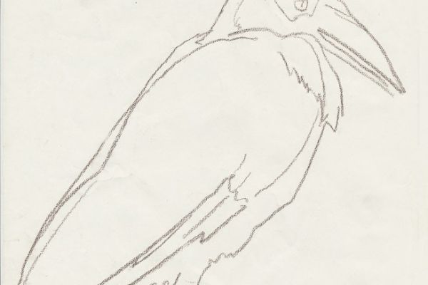 Олег Яновский. Московский зоопарк, 2001-2004. Бумага, карандаш. Фото из архива О. Яновского