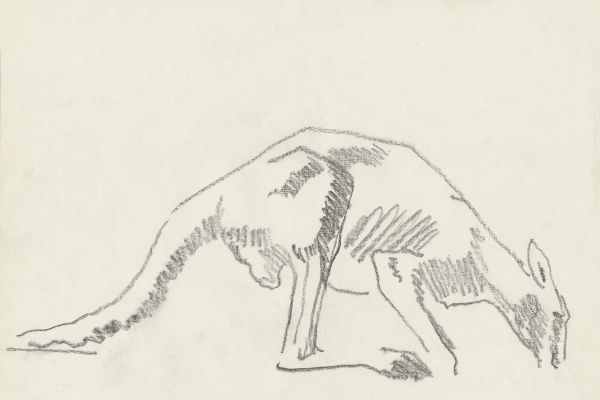 Олег Яновский. Московский зоопарк, 2001-2004. Бумага, карандаш. Фото из архива О. Яновского