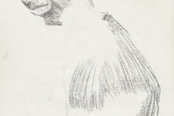 Олег Яновский. Московский зоопарк, 2001-2004. Бумага, карандаш. Фото из архива О. Яновского