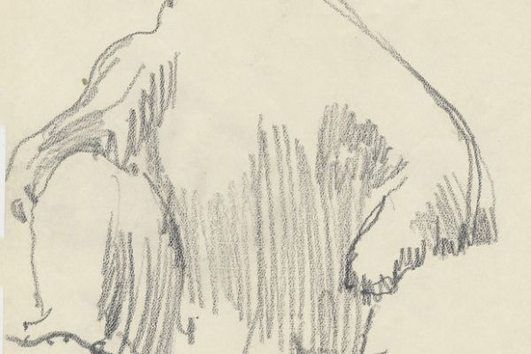 Олег Яновский. Московский зоопарк, 2001-2004. Бумага, карандаш. Фото из архива О. Яновского