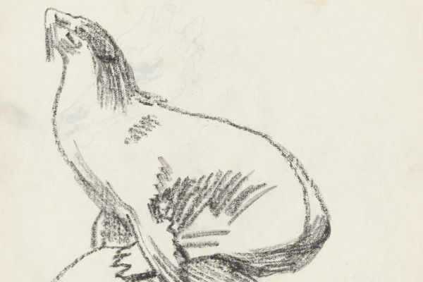 Олег Яновский. Московский зоопарк, 2001-2004. Бумага, карандаш. Фото из архива О. Яновского