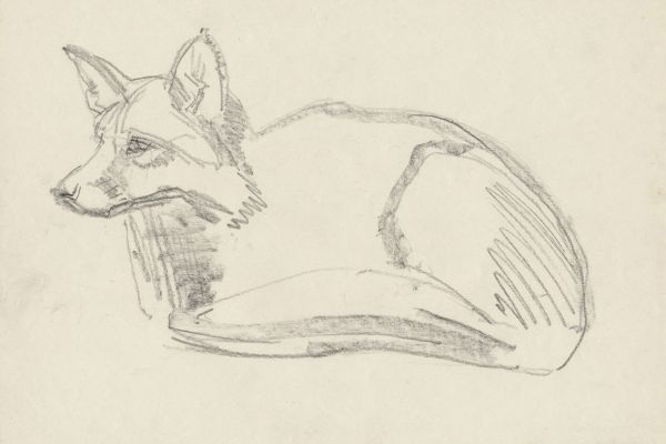 Олег Яновский. Московский зоопарк, 2001-2004. Бумага, карандаш. Фото из архива О. Яновского