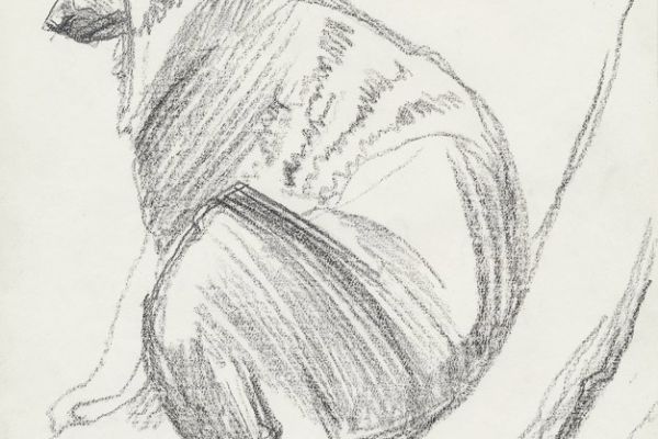 Олег Яновский. Московский зоопарк, 2001-2004. Бумага, карандаш. Фото из архива О. Яновского