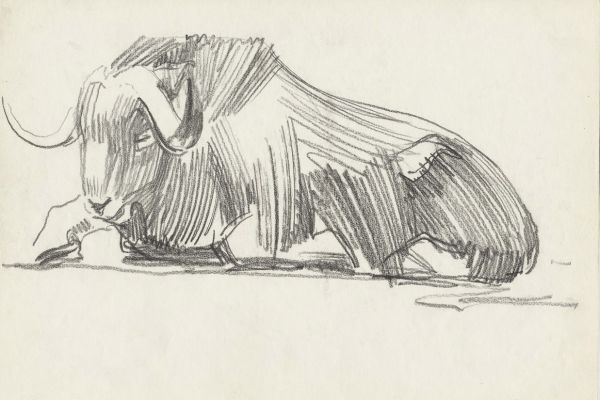 Олег Яновский. Московский зоопарк, 2001-2004. Бумага, карандаш. Фото из архива О. Яновского