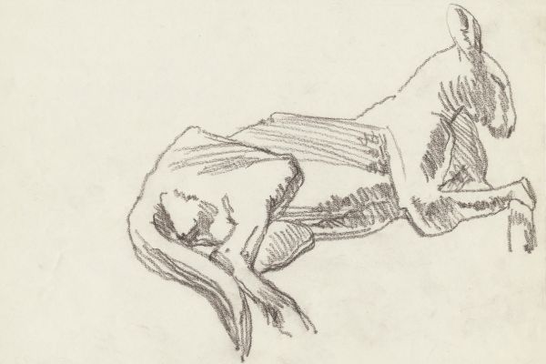 Олег Яновский. Московский зоопарк, 2001-2004. Бумага, карандаш. Фото из архива О. Яновского