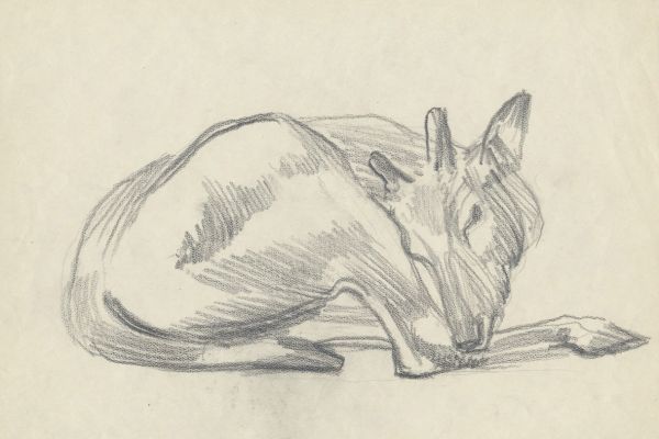 Олег Яновский. Московский зоопарк, 2001-2004. Бумага, карандаш. Фото из архива О. Яновского