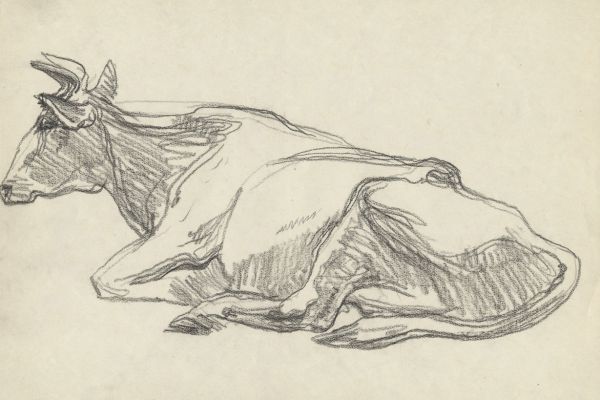 Олег Яновский. Московский зоопарк, 2001-2004. Бумага, карандаш. Фото из архива О. Яновского