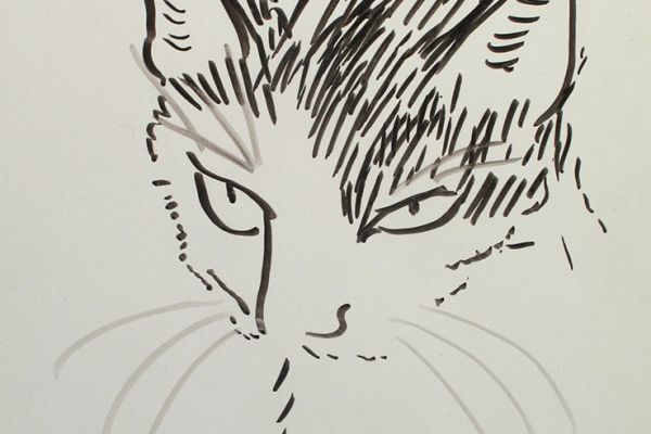 Сергей Малютов. Кошка 1, 2006. Мелованная бумага, гелиевая ручка, 19х13 см. Фото из архива Сергея Малютова