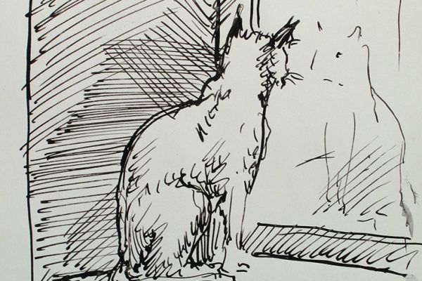 Сергей Малютов. Кошка 3, 2006. Мелованная бумага, гелиевая ручка, 19х13 см. Фото из архива Сергея Малютова