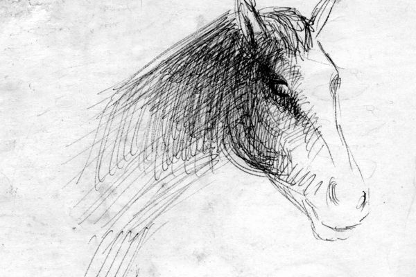 Владимир Потлов. Голова лошади, 1987. Бумага, шариковая ручка, 10х10 см. Фото из архива Владимира Потлова