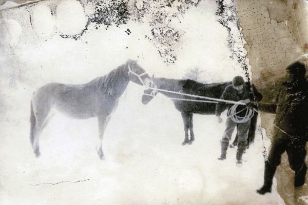 Владимир Потлов. Кони и конюхи, 1986. Фото, тушь, 17х20 см. Фото из архива Владимира Потлова