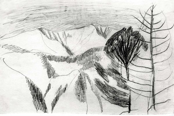 Владимир Потлов. Кедр и лиственница, 1985. Бумага, карандаш, 10х15 см. Фото из архива Владимира Потлова