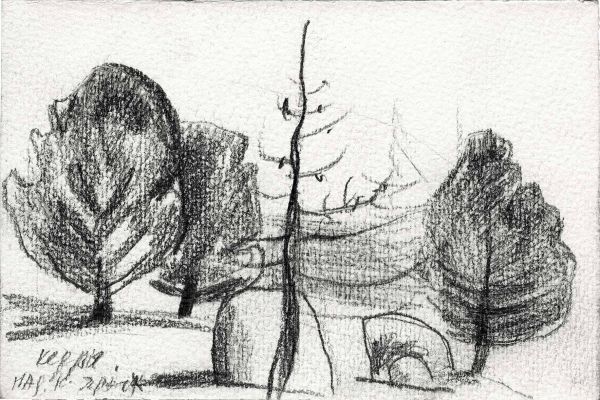 Владимир Потлов. Кедры на Семинском перевале, 1988. Бумага, карандаш, 12х18 см. Фото из архива Владимира Потлова