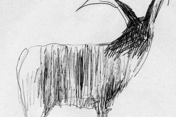 Владимир Потлов. Козел, 1987. Бумага, тушь, перо, 10х10 см. Фото из архива Владимира Потлова