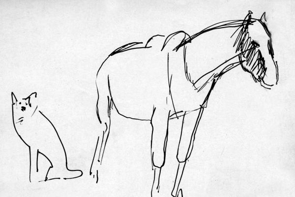 Владимир Потлов. Лайка и лошадь, 1985. Бумага, тушь, перо, 10х14 см. Фото из архива Владимира Потлова