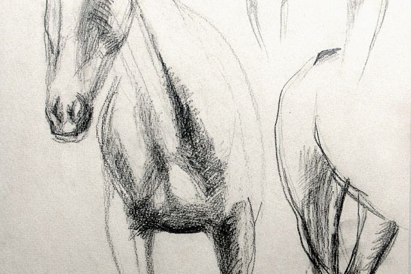 Владимир Потлов. Лошадь, 1985. Бумага, карандаш, 40х29 см. Фото из архива Владимира Потлова