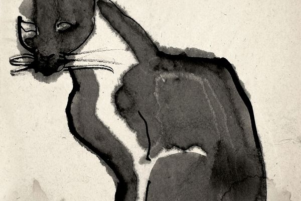 Владимир Потлов. Кошка, 1975. Бумага, тушь. 30х20 см. Фото из архива Владимира Потлова