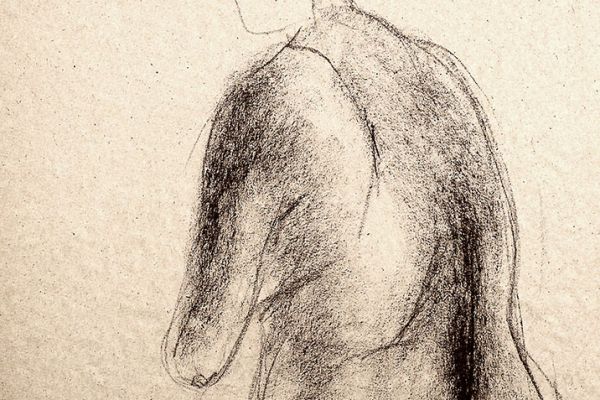 Владимир Потлов. Сидящая 3, 2018. Бумага, сангина. 60х40 см. Фото из архива Владимира Потлова