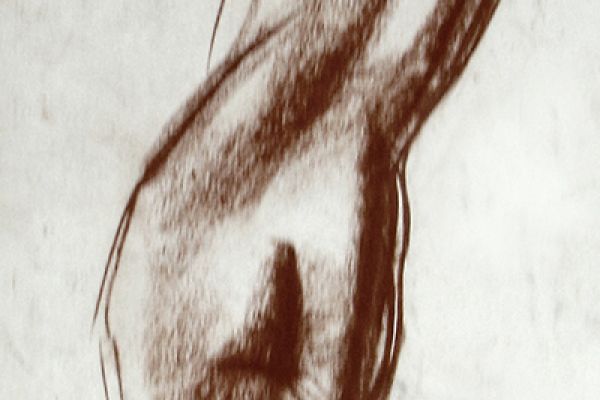 Владимир Потлов. Гибкая, 2023. Бумага, соус. 68х24 см. Фото из архива Владимира Потлова