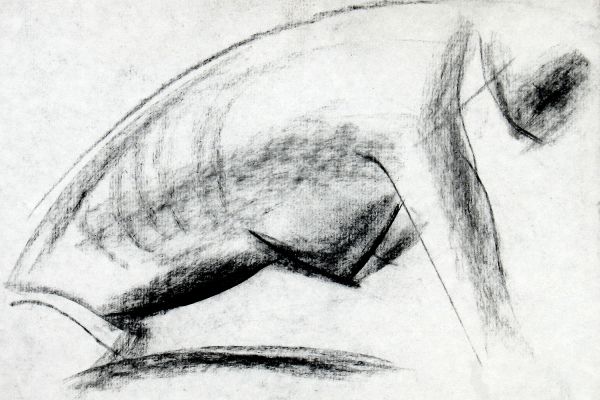 Владимир Потлов. Набросок 3, 2014. Бумага, уголь. 40х64 см. Фото из архива Владимира Потлова