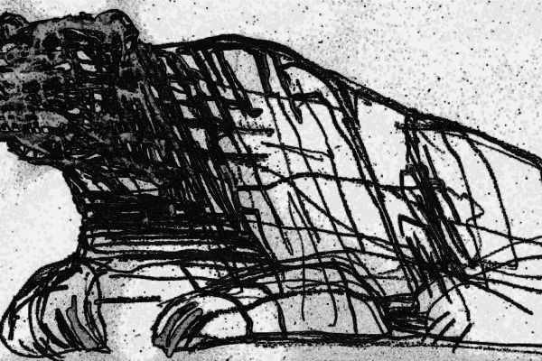 Владимир Потлов. Медведь, 2008. Эскиз. Фото из архива Владимира Потлова