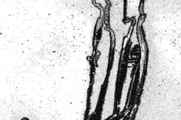 Владимир Потлов. Король и Королева, 2009. Эскиз 7. Фото из архива Владимира Потлова