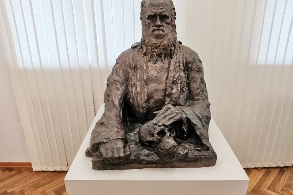 Сергей Конёнков. Чарльз Дарвин (ракурс, 1954. Гипс тонированный, 79x68x73см. Музей скульптуры С.Т. Конёнкова, Смоленск. В мраморе - Музей землеведения МГУ имени М.В. Ломоносова, Москва