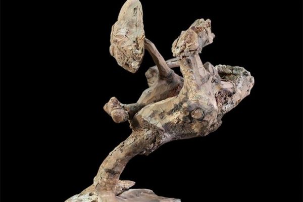 Сергей Конёнков. Лесная сказка, 1960. Дерево, 30х24х26 см. Мемориальный музей ''Творческая мастерская С.Т. Конёнкова'', Москва