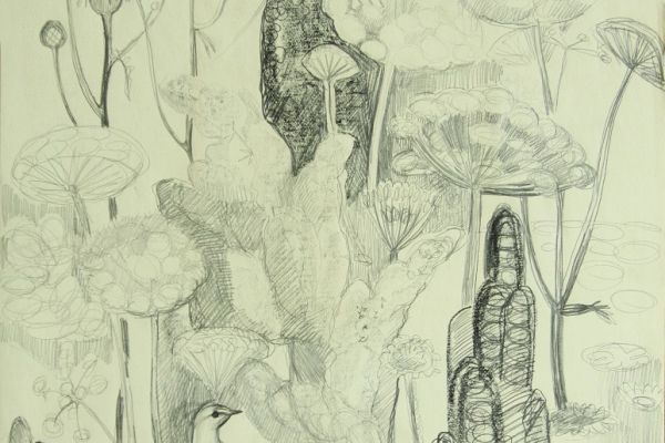 Александр Белашов. Июльские травы, 1968. Бумага, карандаш. Фото из архива А.А. Белашова