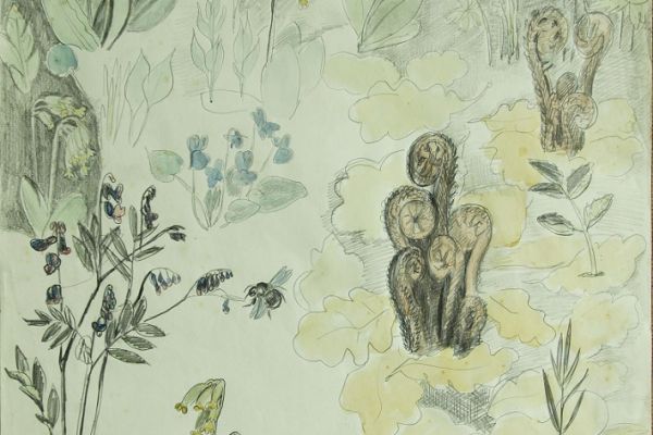 Александр Белашов. Весенние цветы, 2001. Бумага, карандаши. Фото из архива А.А. Белашова