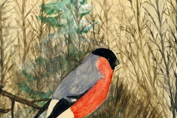 Александр Белашов. Снегири, 1945. Фото из архива А.А. Белашова