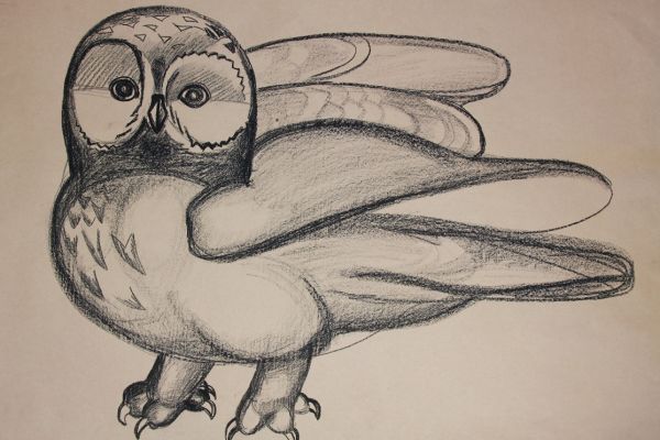 Александр Белашов. Сова, 1972. Бумага, карандаш. Фото из архива А.А. Белашова 