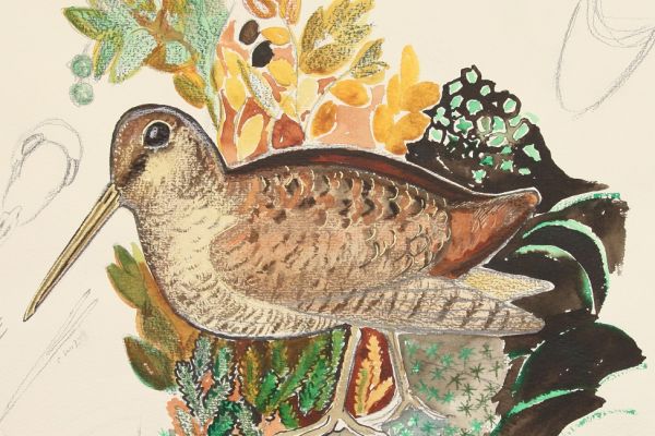 Александр Белашов. Кулик, 1989. Набросок. Фото из архива А.А. Белашова