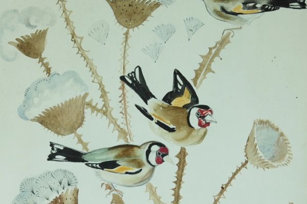 Александр Белашов. Щеглы на татарнике, 1989. Набросок в мастерской. Фото из архива А.А. Белашова