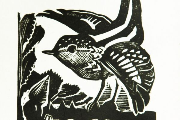 Александр Белашов. Королек, 1966. Бумага, линогравюра. Фото из архива А.А. Белашова