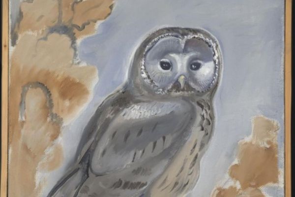 Александр Белашов. Сова-неясыть, 2003. Холст, масло, 57,5х47,5 см (с окантовкой). Государственный биологический музей имени К.А. Тимирязева, Москва