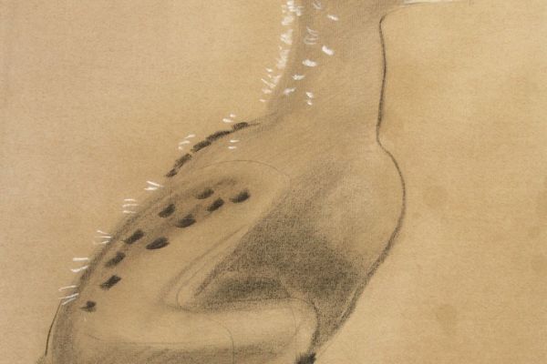 Александр Белашов. Птенец орлана. Набросок в зоопарке. Фото из архива А.А. Белашова