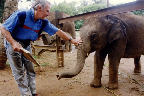 1996 год. Индия. Александр Белашов с домашними слонятами. Фото из архива А. А. Белашова