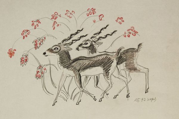 Александр Белашов. Антилопа гарна, 1997. Индия. Бумага, карандаши. Из архива А.А. Белашова