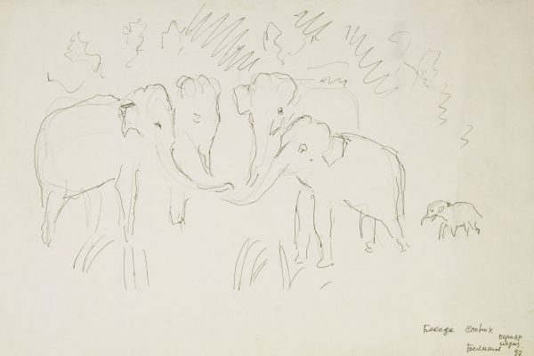 Александр Белашов. Беседа слоних, 1997. Заповедник Перияр, Индия. Бумага, карандаш. Из архива А.А. Белашова